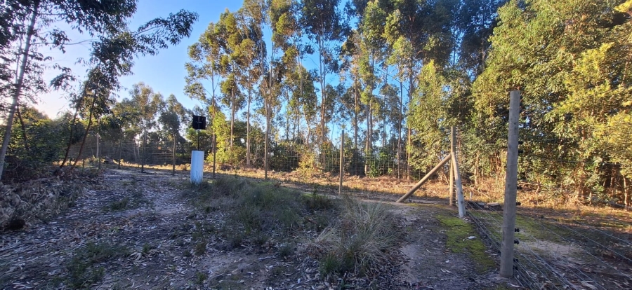 0 Bedroom Property for Sale in Knysna Rural Western Cape